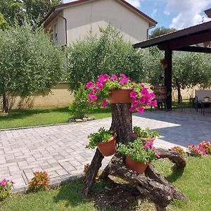 Tra La Terra E Le Stelle Hotell Assisi Exterior photo