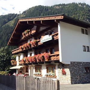 Gaestehaus Laerchenheim Hotell Mayrhofen Exterior photo