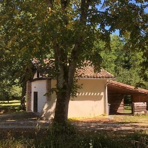 Eco-Gite En Pleine Nature Lägenhet Lisle-sur-Tarn Exterior photo