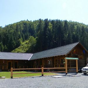 Pensiunea Mama Uta Hotell Gîrda de Sus Exterior photo