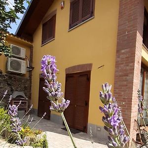 Casa Lavanda Bed and Breakfast Rivoli  Exterior photo