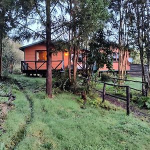 Casa O Habitacion En Carretera Austral Pensionat Puerto Montt Exterior photo