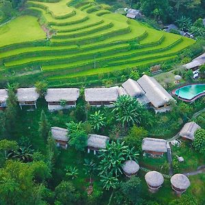 Bungalow Hoang Su Phi Hotell Exterior photo