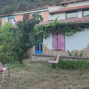 Il Nuraghe Bed and Breakfast Arbus Exterior photo