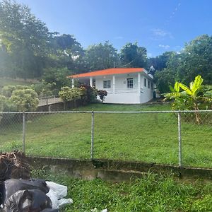 Coqui Del Corazon Guest House Hatillo Exterior photo