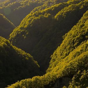 Wild Valley Ticino Vista In Valle Onsernone Lägenhet Auressio Exterior photo