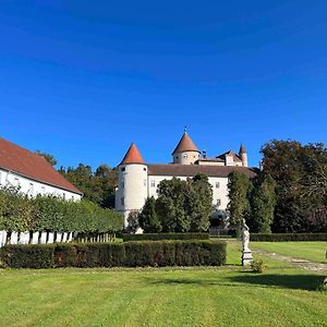 Charming Castle In Austria Villa Schwertberg Exterior photo