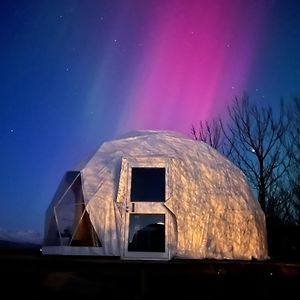 Aurora Dome On The South Coast Lägenhet Hvolsvöllur Exterior photo