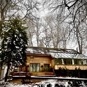 5 Star Luxury Woodland Retreat Sleeps 12 Hot Tub Sauna Clapton in Gordano Exterior photo