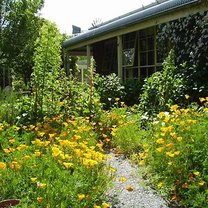 Holly Lane Mews Motell Yarra Glen Exterior photo