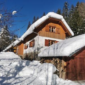 Pohorje House 2 Four Appartmetns Lägenhet Oplotnica Exterior photo