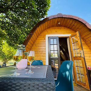 The Gold Pod, Relax And Enjoy On A Glamping House Pensionat Corredoura Exterior photo