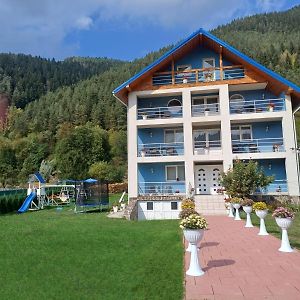 Pensiunea Aurelia Hotell Bicaz Chei Exterior photo