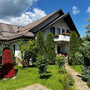 Vila Lila Isverna Bed and Breakfast Exterior photo