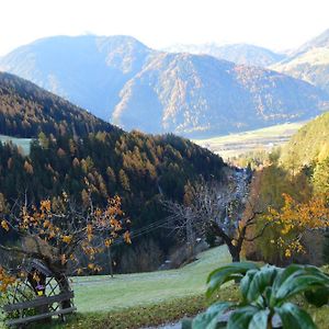 Martlerhof Urlaub Auf Dem Bauernhof Lägenhet Campo di Trens Exterior photo