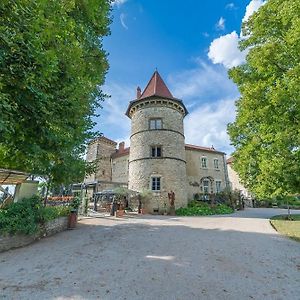 Chateau Chapeau Cornu Hotell Vignieu Exterior photo