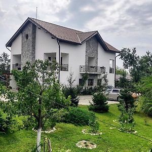 Pensiunea Codruta Villa Cărpinişu Exterior photo