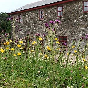 The Old Mill, Kilcorkey, Bellanagare, Castlerea, County Roscommon - West Of Ireland -House 1 Villa Exterior photo