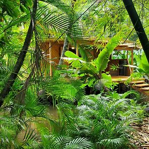 Jungle Lodge Cabarete Exterior photo