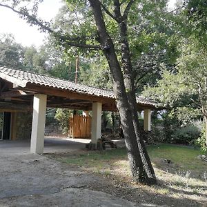 L'Atelier En Cevennes - Logement 55M2 Lägenhet Deaux Exterior photo