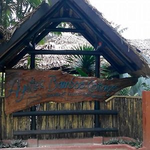 Ayette'S Bamboo Cottages San Vicente  Exterior photo