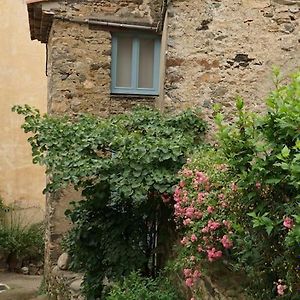 Une Tiny House Dans Le Coeur D'Un Ancien Village. Roquebrun Exterior photo