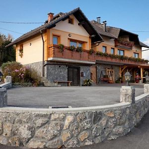 Tourist Farm Skrbina Apartments - Happy Rentals Šmarješke Toplice Exterior photo