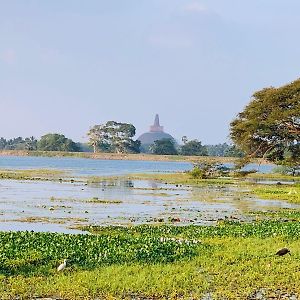 Thissawewa Stay Anuradhapura Exterior photo