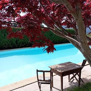 Chambre D'Hote Dans Mas Proche Anduze Cevennes Avec Piscine Bed and Breakfast Mialet  Exterior photo