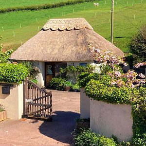 The Nest - Thatched Seaside Country Cottage For Two Stokeinteignhead Exterior photo