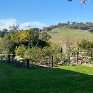 Mount Hope Estate Vineyard Lägenhet Dixons Creek Exterior photo