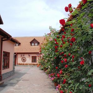 Pension Ela Hotell Sibiu Exterior photo