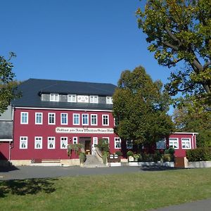 Zum Roten Hirsch Im Gruenen Wald Hotell Saalfeld Saale Exterior photo