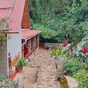 Mrefu Eco-Lodge Marangu Exterior photo