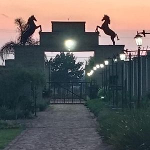 Shingwedzi Hotel Benoni Exterior photo