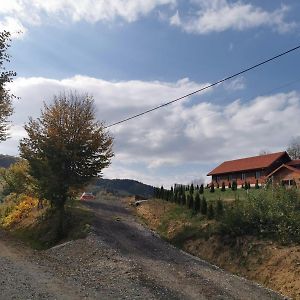 Cabana Valea Popii Hotell Sita Buzăului Exterior photo