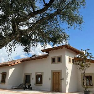 Finca Valdelaseras Villa Badajoz Exterior photo