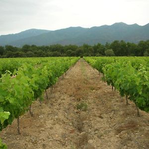 Domaine De Nidoleres Hotell Tresserre Exterior photo