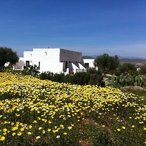 Cortijo El Campillo Pensionat Los Albaricoques Exterior photo