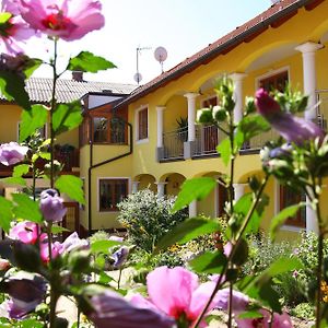 Weingut - Gaestezimmer Zum Schwalbennest Lägenhet Herrnbaumgarten Exterior photo