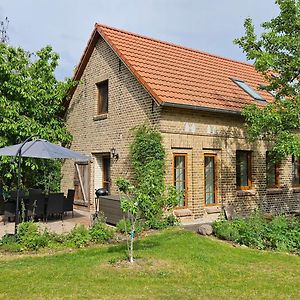 Ferienhaus Pathe Villa Neuendorf bei Wendisch Buchholz Exterior photo