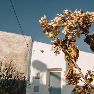 Casa Da Figueira - Guest House Exterior photo