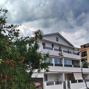 Apartments Gvozdenovic Petrovac Exterior photo