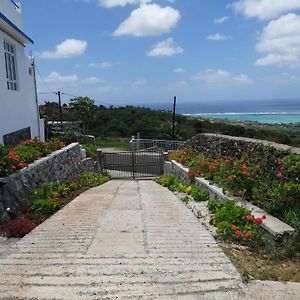 O Bercail Du Sud-Hibiscus Chez Jeannette Villa Saint Gabriel Exterior photo