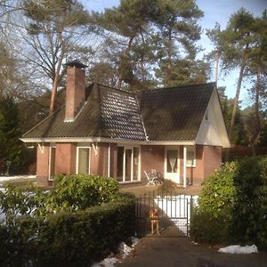 Comfortable, Fully Equipped House In Nature Wheelchair Friendly, Free Internet Villa Beekbergen Exterior photo