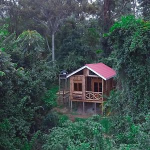 Supreme Adventure Park Bunyonyi Hotell Kabale Room photo