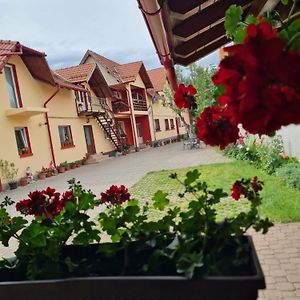 Vila Vladut Hotell Zărneşti Exterior photo