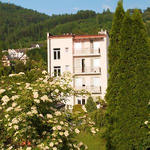 Osrodek Wczasowy Krasniczanka Hotell Muszyna Exterior photo