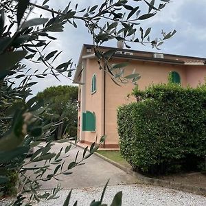 Biancolilla House Lägenhet Rosignano Solvay Exterior photo