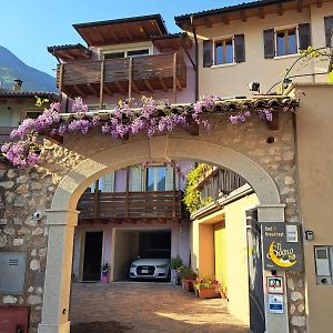 Il Sogno Bed and Breakfast Avio Exterior photo